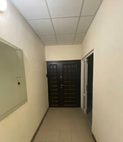 продажа двухкомнатной квартиры номер A-173582 в Приморском районе, фото номер 9